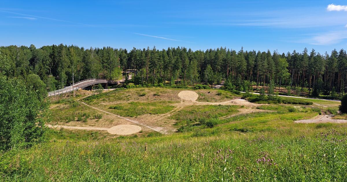 Paloheinä disc golf course nearing completion Design Helsinki